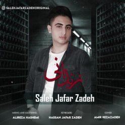 دانلود آهنگ صالح جعفرزاده زندونی با کیفیت 320